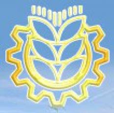 Logo - Belagroservice