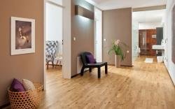 Logo - Thilo Imhof Leipzig Trockenbau