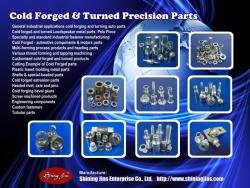 Logo - Screws,Nuts and Special Parts