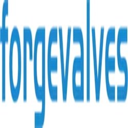 Logo - China Forged Valves Co., Ltd.