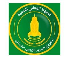 مشروع السرير الزراعي الشمالي