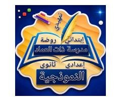 مدرسة ذات العماد النموذجية