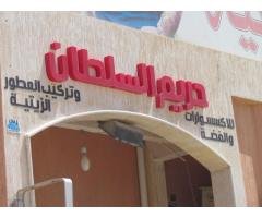 حريم السلطان الإكسسوارات والساعات والفضه والذهب الصيني