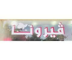 محل فيرونا للاحذية والحقائب – Verona