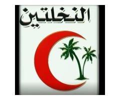 صيدلية النخلتين