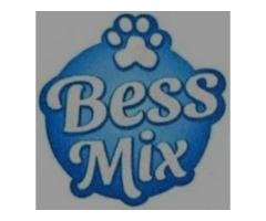 بيس ميكس - Bess Mix- شركة تموين شرق للتجارة